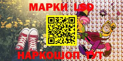 Альфа ПВП Кандалакша