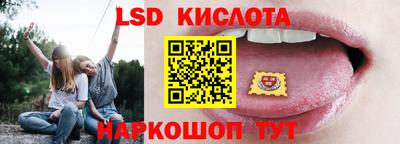 Альфа ПВП Кандалакша