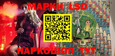 эйфоретик Камышлов