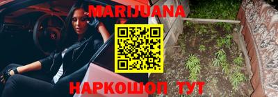 Альфа ПВП Кандалакша